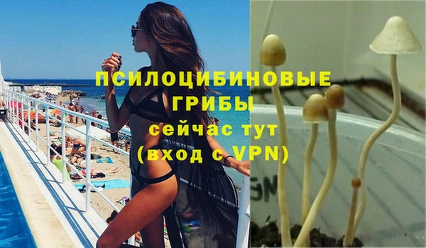 а пвп мука Лабытнанги