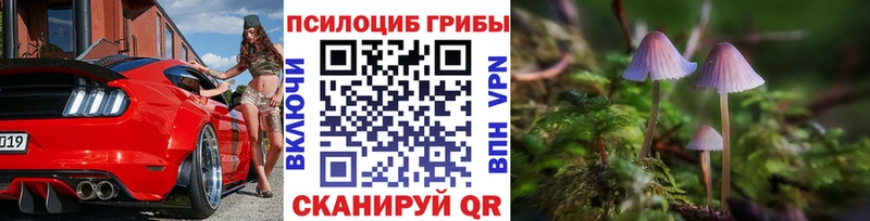 Галлюциногенные грибы GOLDEN TEACHER Елизаветинская